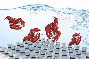 生蠔如何快速清洗？超聲波清洗機讓生蠔小龍蝦田螺大閘蟹更美味